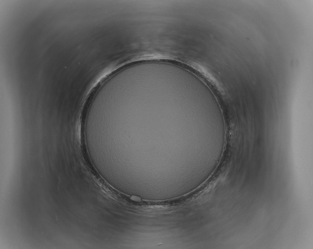 X0000112141173200908211347