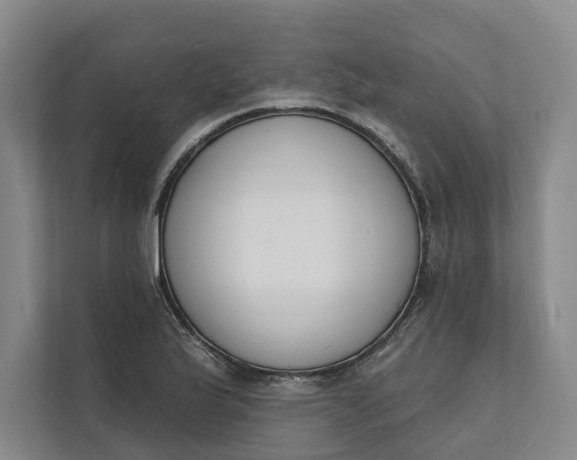 X0000112141175200908211347