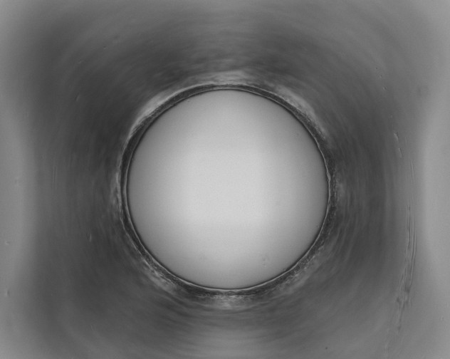 X0000112141176200908211347