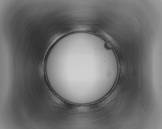 X0000112141178200908211347