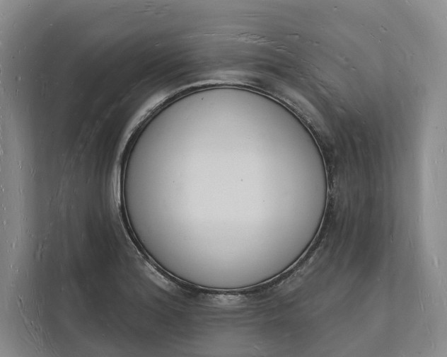 X0000112141180200908211347