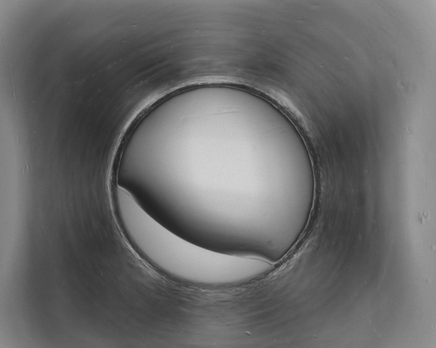 X0000112141181200908211347