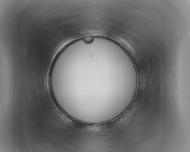 X0000112141182200908211347