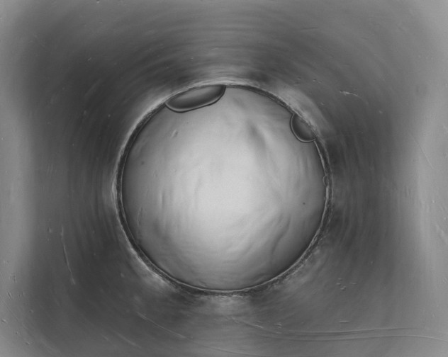 X0000112141189200908211347