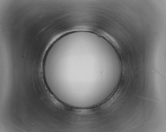 X0000112141192200908211346