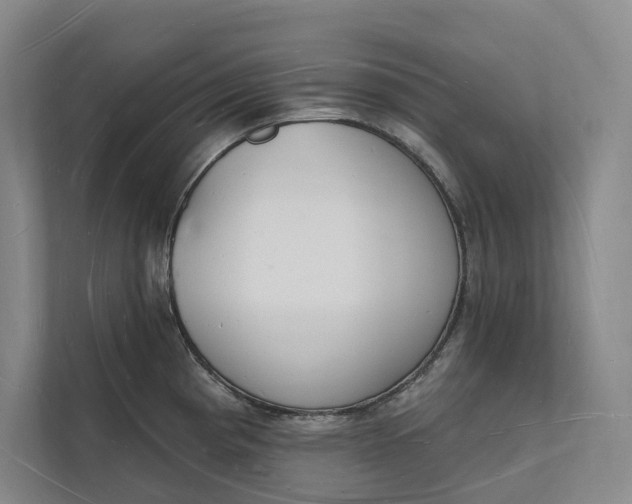 X0000112141193200908211346