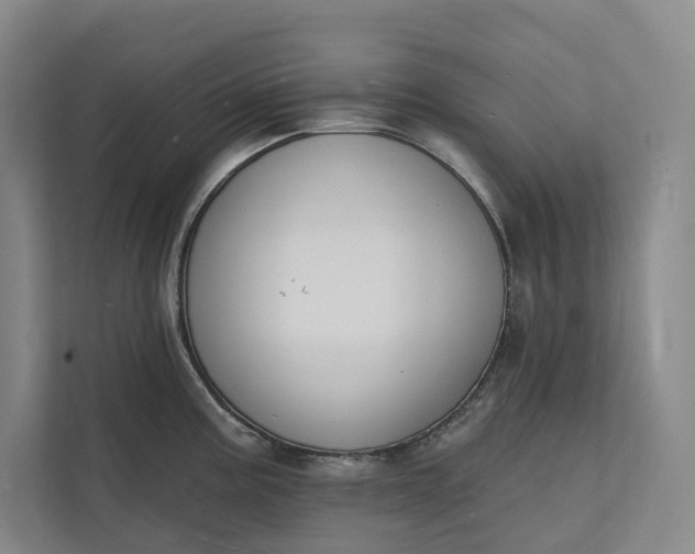 X0000112141195200908211346