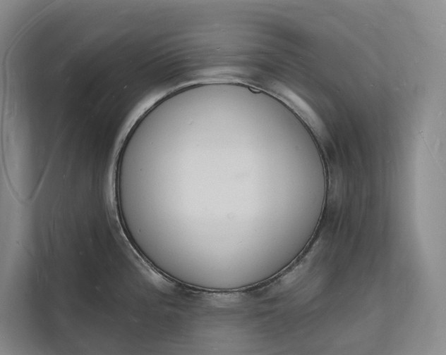 X0000112141196200908211346