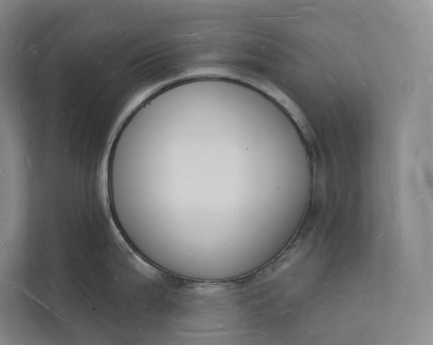 X0000112141199200908211346