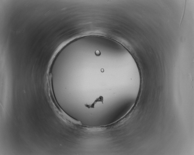 X0000112141200200908211346