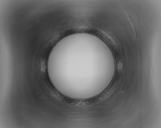 X0000112141204200908211346