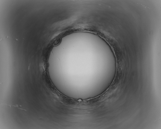 X0000112141206200908211346