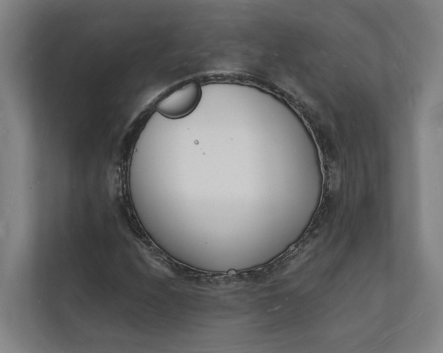 X0000112141208200908211346