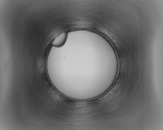 X0000112141211200908211346