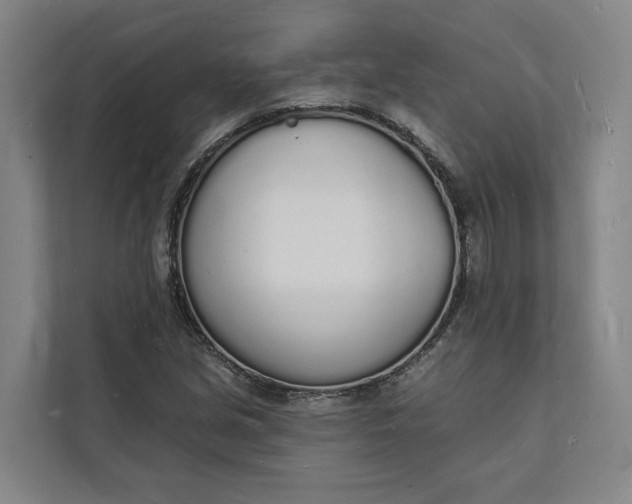 X0000112141213200908211346