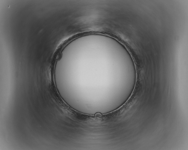 X0000112141214200908211346