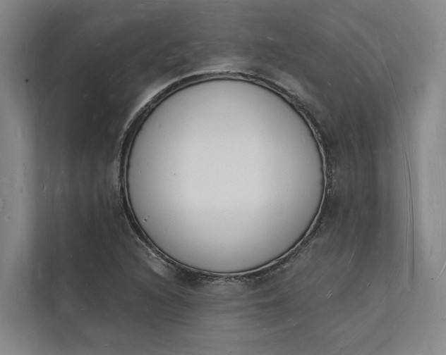 X0000112141216200908211346