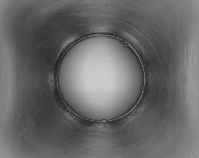 X0000112141218200908211346