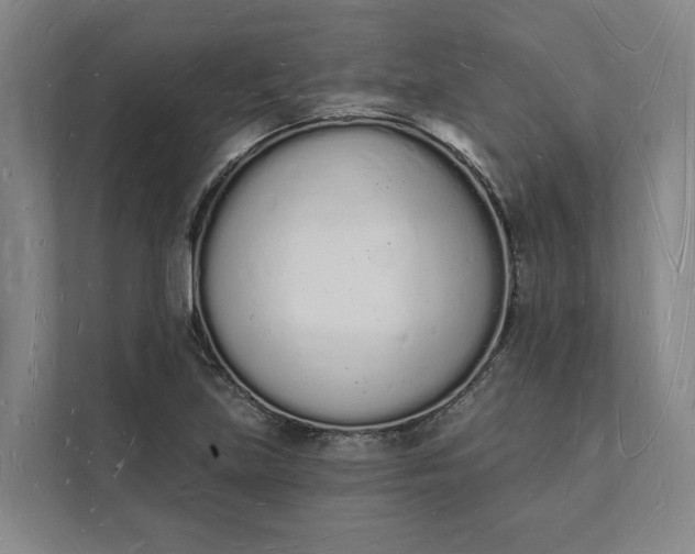 X0000112141219200908211346