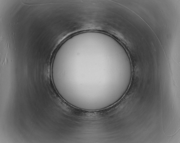 X0000112141220200908211346