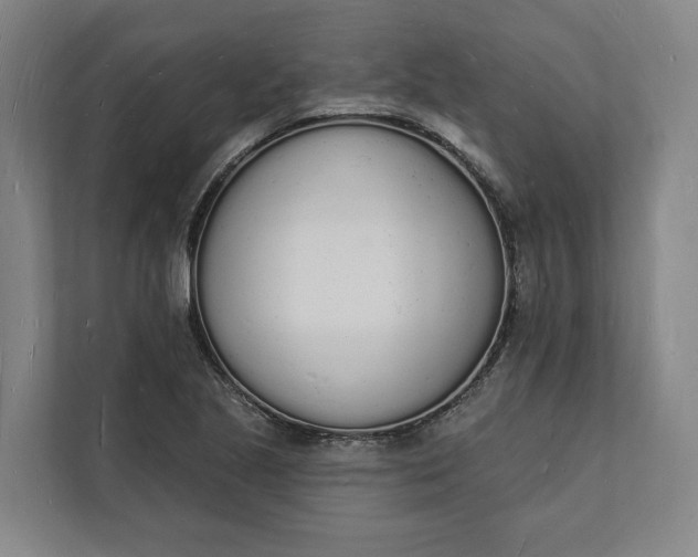 X0000112141221200908211346