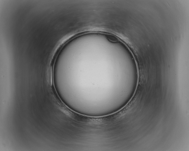 X0000112141223200908211346