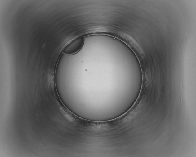 X0000112141225200908211346