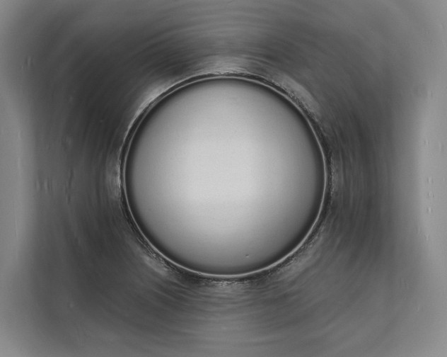 X0000112141226200908211346