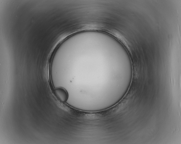 X0000112141227200908211346