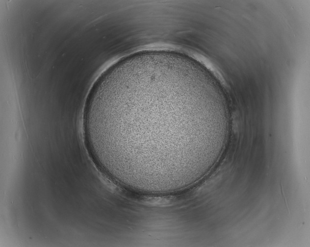 X0000112141229200908211346