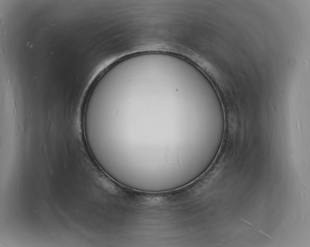 X0000112141230200908211346