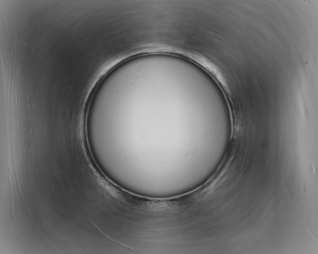 X0000112141231200908211346