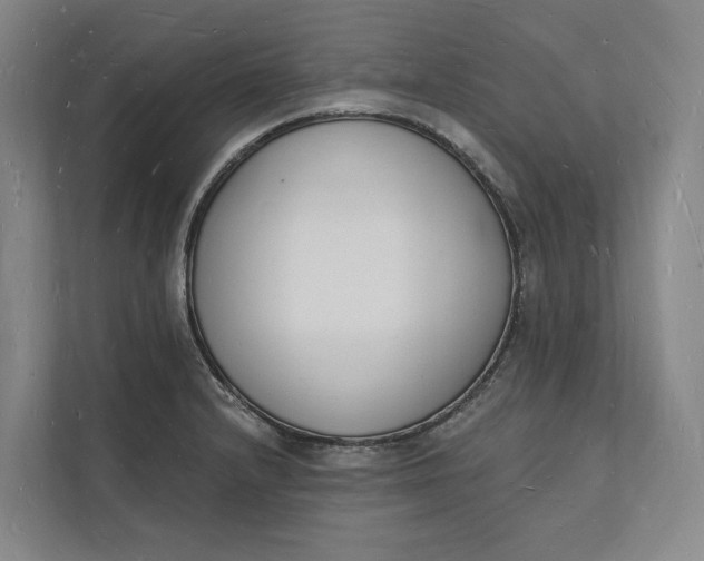 X0000112141232200908211346