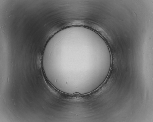 X0000112141233200908211346