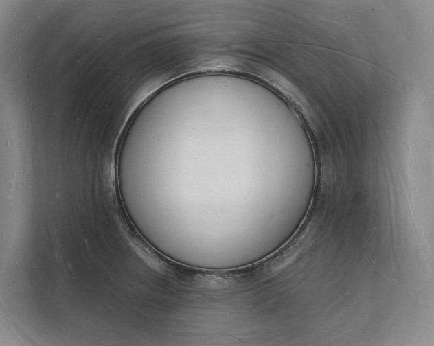 X0000112141234200908211346