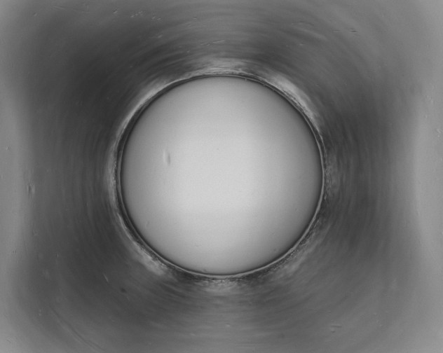 X0000112141235200908211346