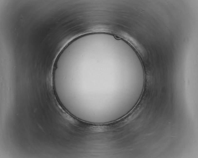 X0000112141236200908211346