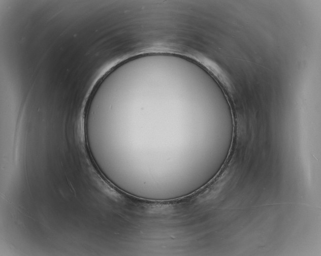 X0000112141238200908211346