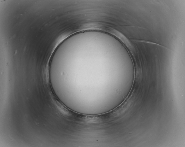 X0000112141242200908211346