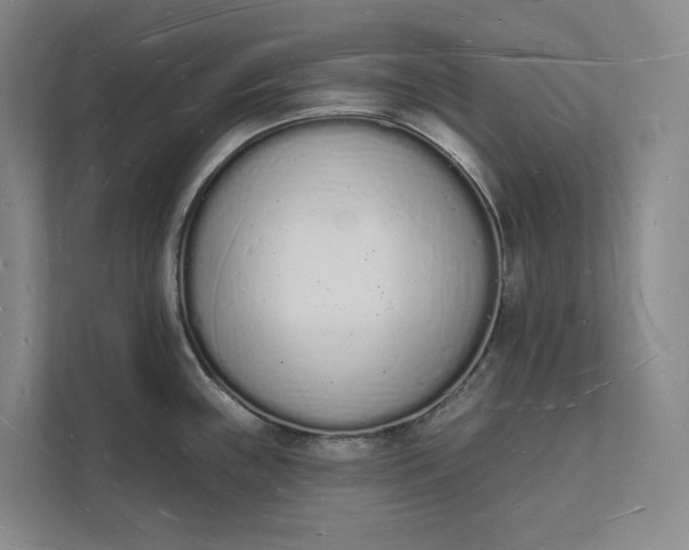 X0000112141243200908211346