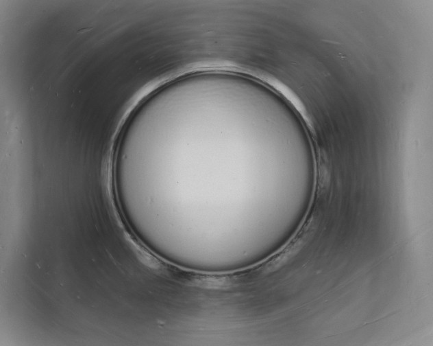 X0000112141245200908211346