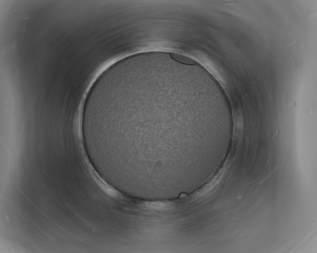 X0000112141246200908211346