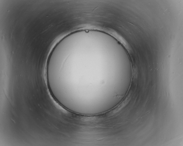 X0000112141247200908211346