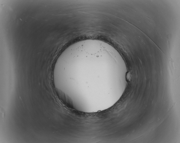 X0000112141249200908211346