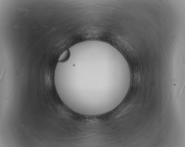 X0000112141250200908211346