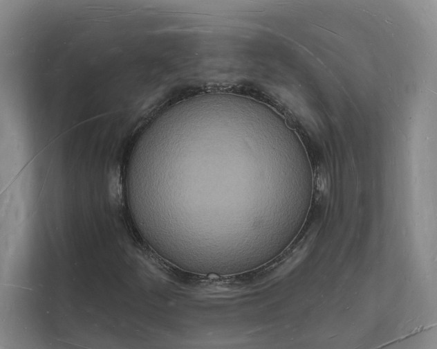 X0000112141252200908211346