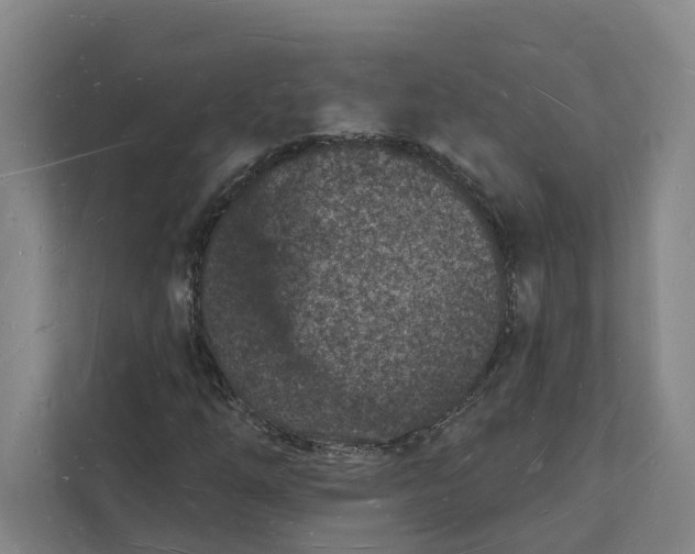 X0000112141254200908211346