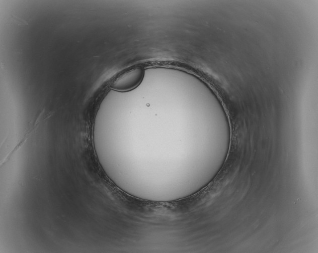 X0000112141255200908211346