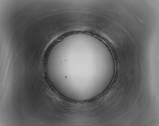 X0000112141256200908211346