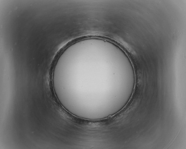 X0000112141264200908211346